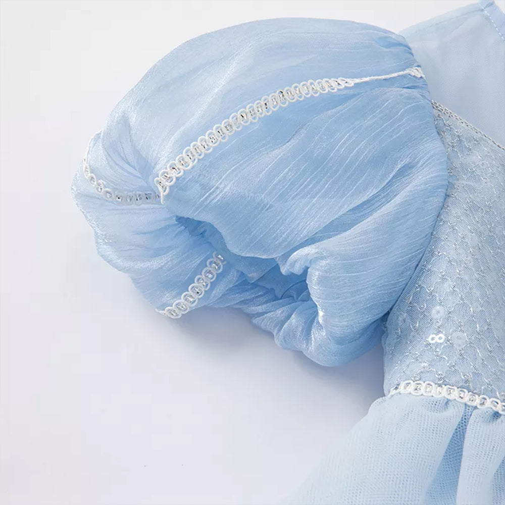 Cinderella Princess Tutu Dress
