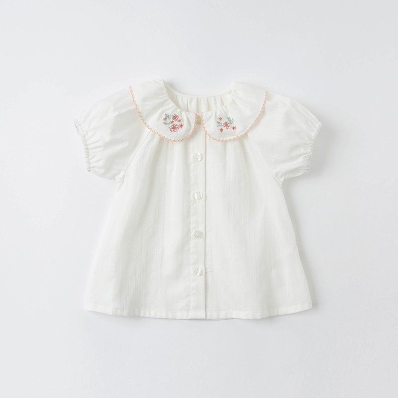 Pretty Collar Blouse