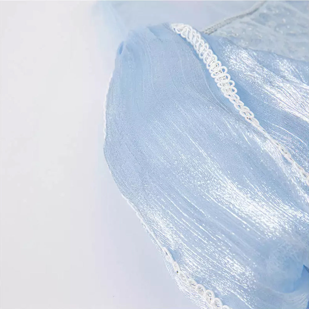 Cinderella Princess Tutu Dress