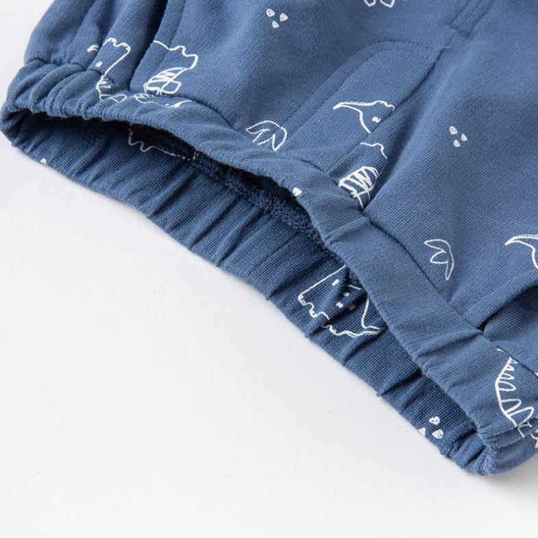 Dinosaur Polo Tee and Shorts Set