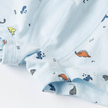 2 Pack Boy's Dinosaur Trunk Underwear