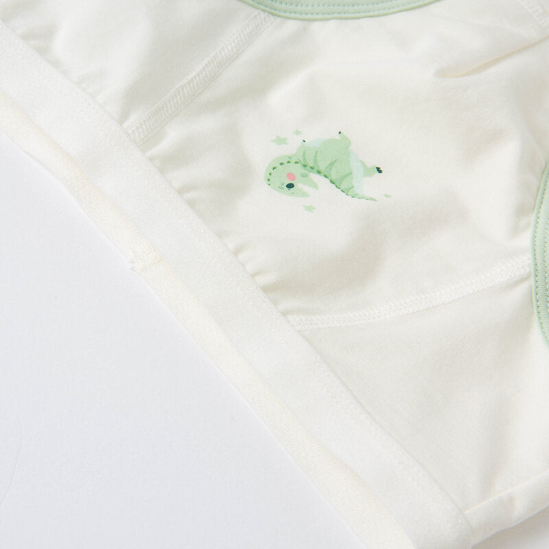 2 Pack Boy's Underwear