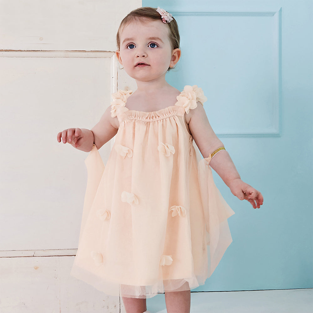 Butterfly fairy Dress