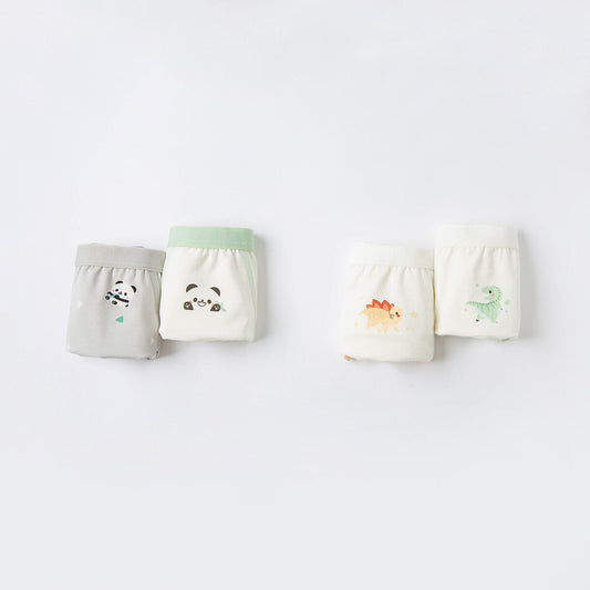 2 Pack Boy's Underwear